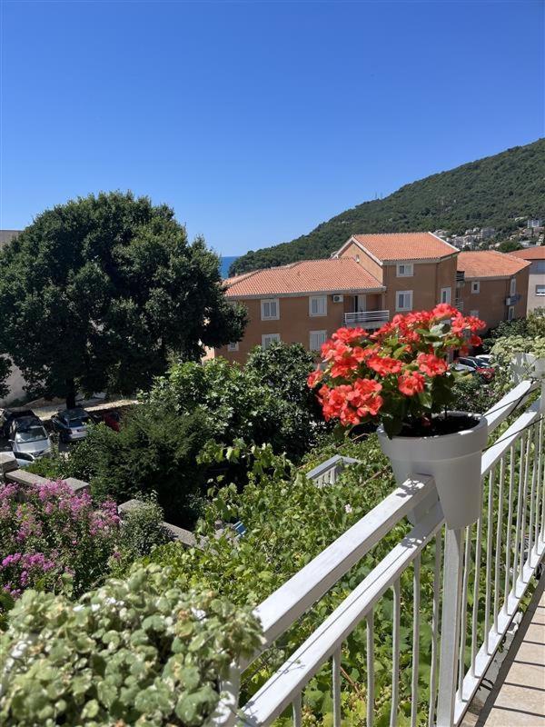 Apartmani Neda Bane Петровац Экстерьер фото